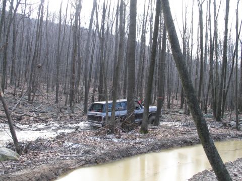 1995 Ford Bronco - A gray SUV navigates a muddy trail through a dense forest.