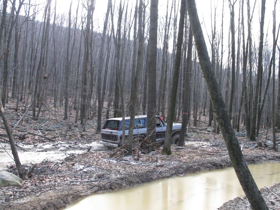 Gray SUV stuck in mud in a forest