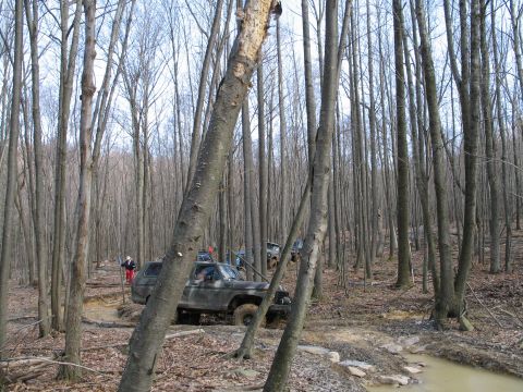 1995 Ford Bronco - Several off-road vehicles traverse a wooded area with muddy terrain and sparse foliage.