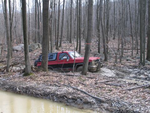 1995 Ford Bronco - An off-road SUV is stuck in the mud in a wooded area.