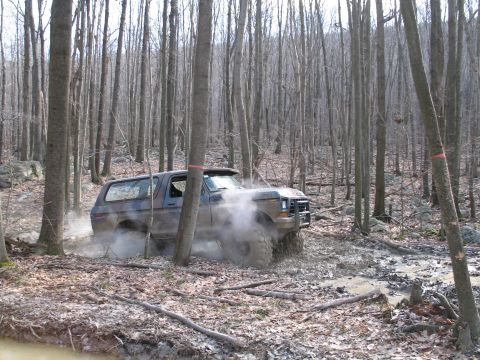 1995 Ford Bronco - Ford Bronco navigating a muddy trail in a dense forest.