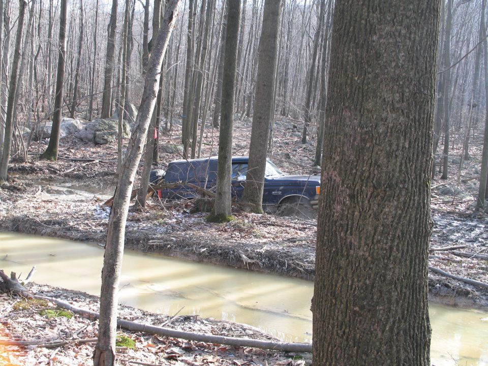 Dark blue SUV stuck in a muddy ditch in a forest, with trees and branches surrounding it
