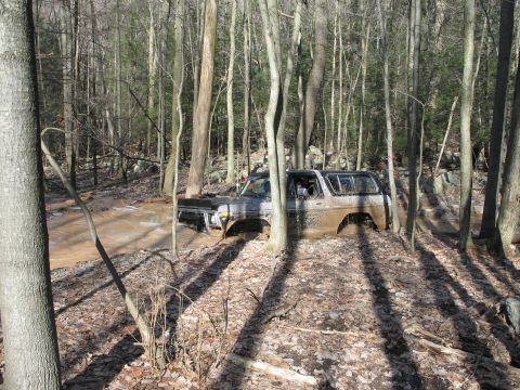1995 Ford Bronco - Ford Bronco stuck in mud on a wooded trail, tires submerged.