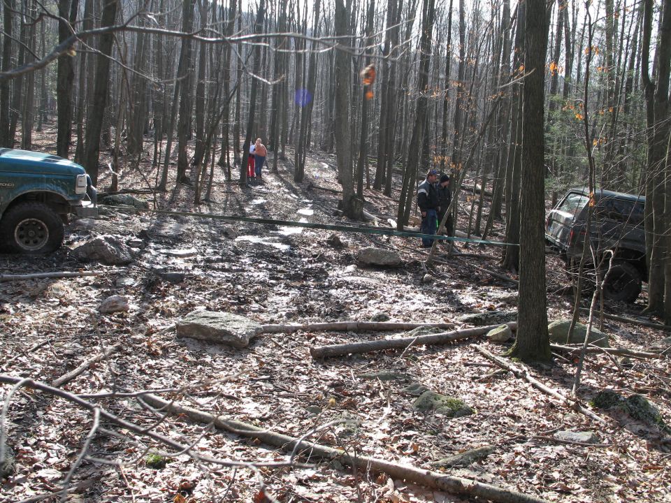 Two off-road vehicles are in a wooded area with trees and fallen leaves. One vehicle is green on the left, and a dark vehicle is on the right