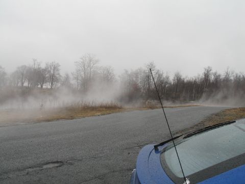 1995 Ford Bronco - A foggy day on a roadside with trees and a portion of a blue car visible.