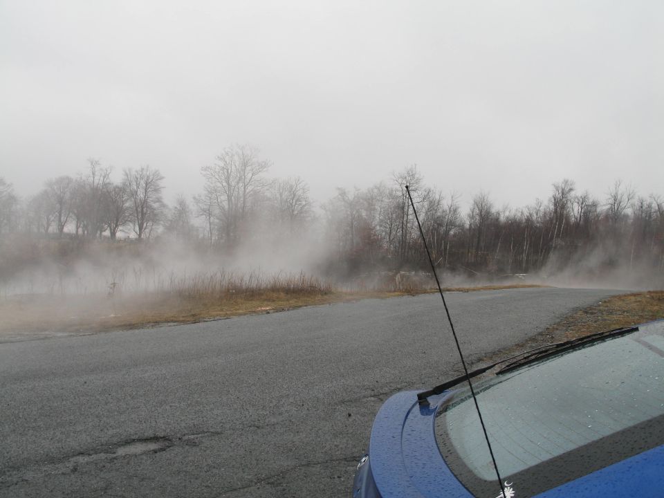 Foggy roadside with bare trees and a blue car's rear window and antenna in the foreground