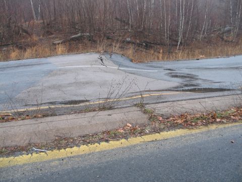 1995 Ford Bronco - A damaged road surface with cracks and puddles suggests a scene of disrepair in a wooded area.