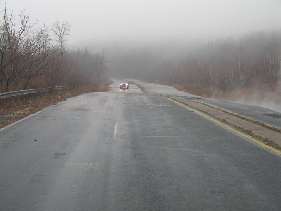 Car driving on a wet, foggy road with trees on the side