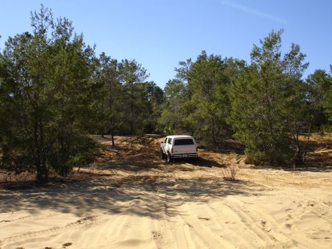 1989 Ford Bronco - A white SUV navigates a sandy path through a wooded area under a clear blue sky.