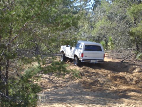 1989 Ford Bronco - White SUV navigates a sandy, wooded trail with visible tire tracks.