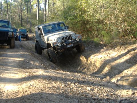 1999 Jeep Wrangler - Multiple Jeeps tackle a challenging dirt track in a wooded area.