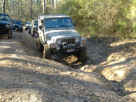 1999 Jeep Wrangler - A convoy of Jeeps, including a 1999 Wrangler, tackles a challenging muddy path through a wooded area.