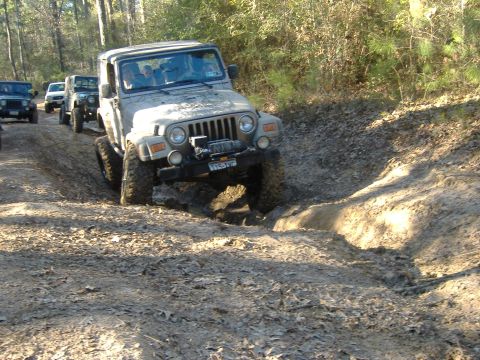 1999 Jeep Wrangler - Several Jeep Wranglers tackle a challenging muddy trail in a wooded area.