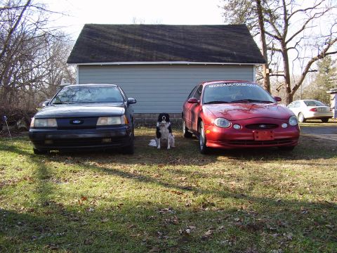 1997 Ford Taurus - Two Ford Taurus sedans, one red and one black, are parked outside with a dog in the yard.