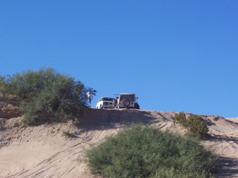 1981 Ford F-150 - Two vehicles are parked on a sandy ridge under a clear blue sky.