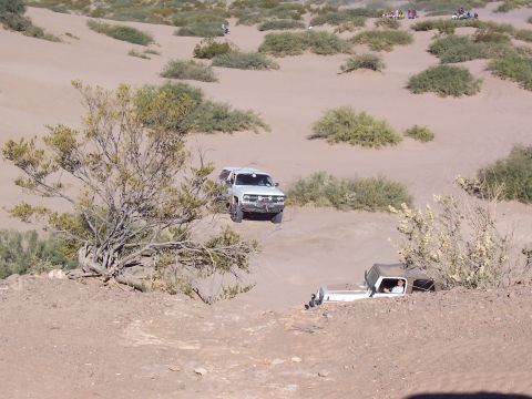 1981 Ford F-150 - Two trucks navigate sandy terrain, one with a camper shell and the other partially stuck in the sand.