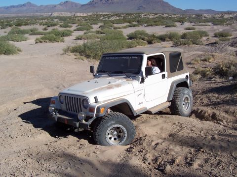 1981 Ford F-150 - A white Jeep Wrangler navigates sandy terrain, with its front driver's side wheel partially submerged in a rut.