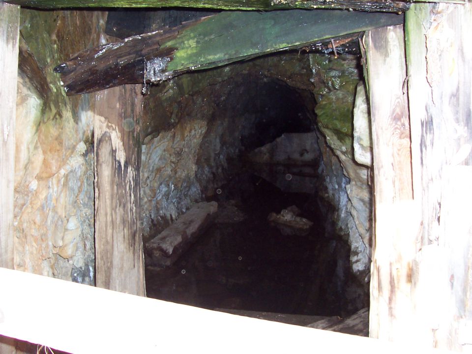 Mine shaft entrance with wooden supports and dark interior. Water drips from overhead beams