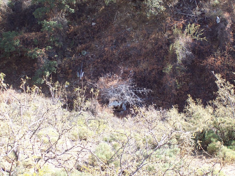 Dry desert hillside covered in brush, dead branches and scattered rocks