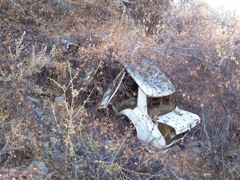 1981 Ford F-150 - This vehicle is heavily overgrown and appears to be a total loss, making identification difficult.