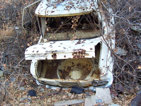 1981 Ford F-150 - This heavily rusted white car sits abandoned, its trunk open and vegetation growing around it.