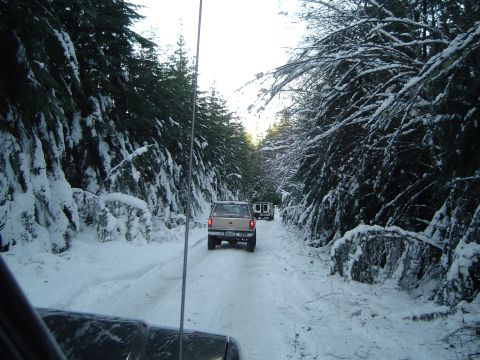 1989 Ford Bronco - A convoy of SUVs navigates a snowy forest road during a winter excursion.