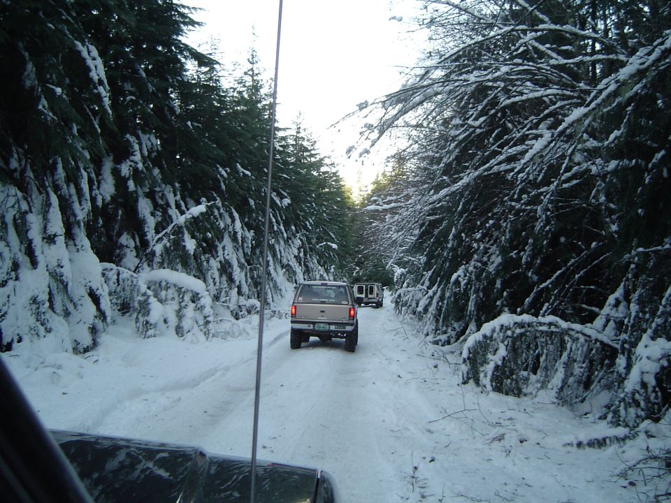 Snow-covered forest road with tan SUV and white 4x4 ahead, seen over the hood of a following truck