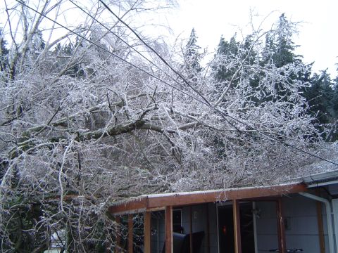 1989 Ford Bronco - Tree branches coated in ice hang precariously over a residential roof during winter weather.