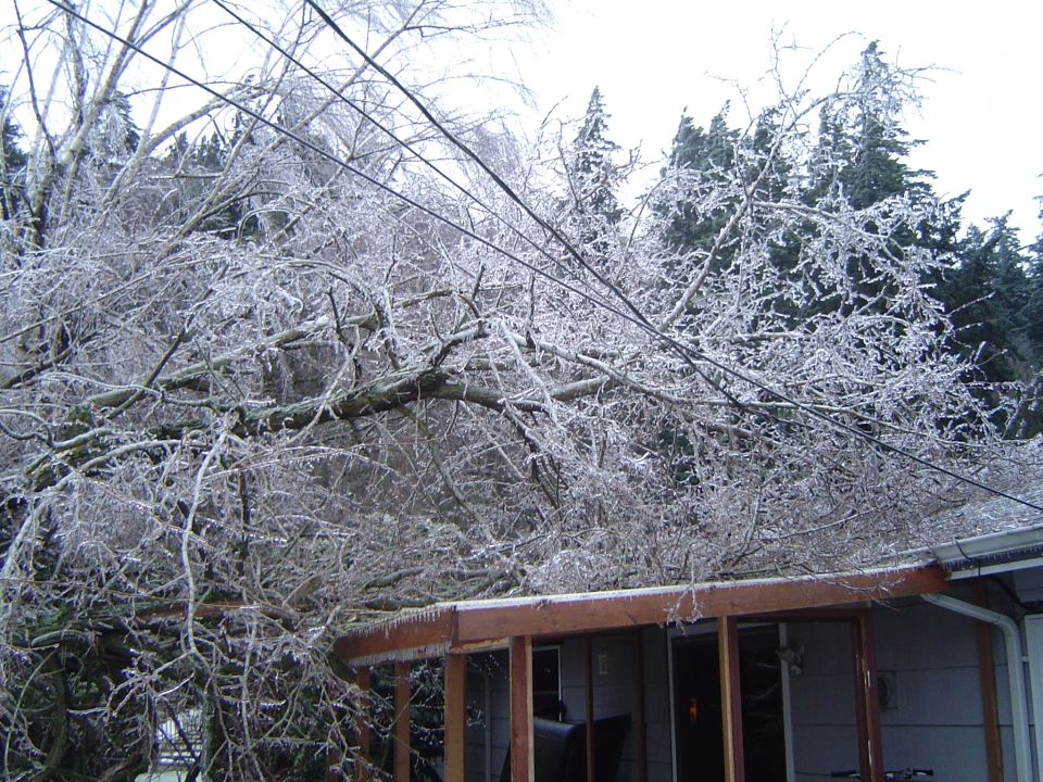 Ice-covered tree branches hang over a house roof with power lines visible