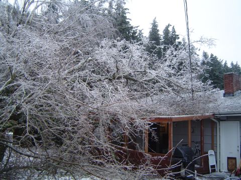 1989 Ford Bronco - A house and its surroundings are covered in ice after a winter storm, with trees weighing down on the roof and patio.