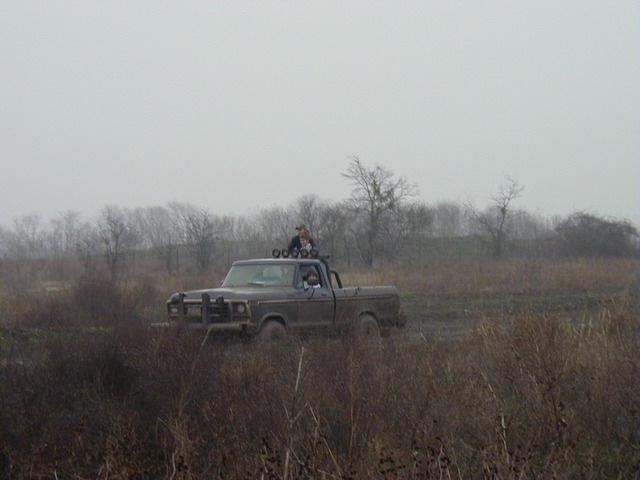 Brown Ford F-Series truck with a brush guard and roof lights stuck in mud