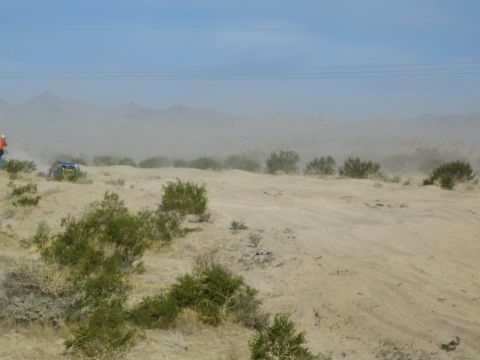 Dusty desert scene with brush and a distant buggy and figure at far left