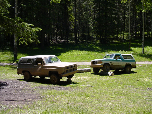 Two dirty SUVs, one tan and one teal and white, parked on grass with trees behind them