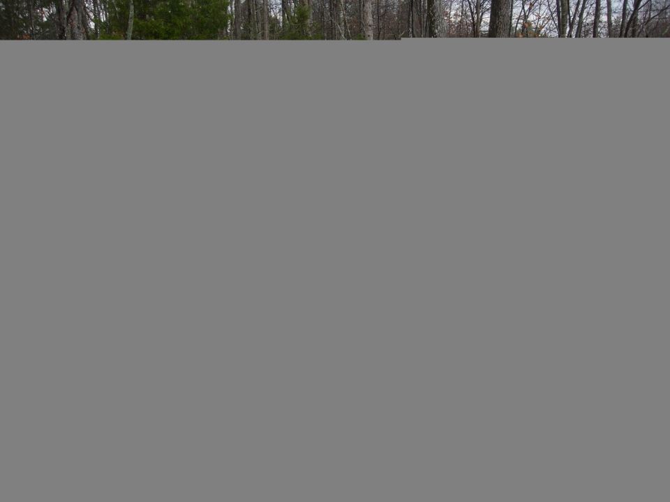 1992 Ford Bronco side view, dark color, parked in wooded area