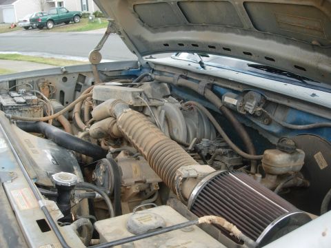 1995 Ford Bronco - The engine bay of a 1995 Ford Bronco is shown, an aftermarket air filter and various engine components.