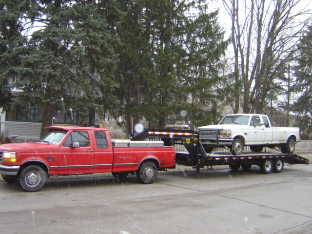 Red Ford F-Series pickup towing a white Ford F-Series pickup on a gooseneck trailer. The white truck appears to be a 1992 model