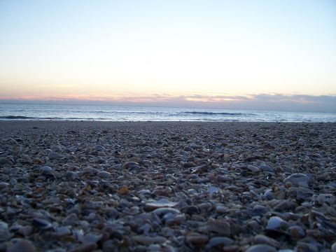 1994 Ford Probe - Ocean waves lap a shell-covered beach at sunrise or sunset.