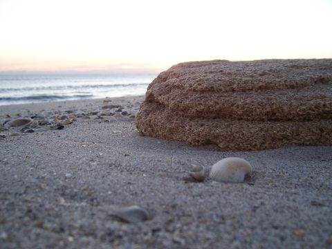 1994 Ford Probe - A beach scene unfolds with a large, textured rock dominating the foreground, surrounded by shells and sand, with the ocean stretching to th…