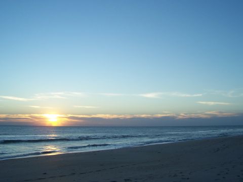 1994 Ford Probe - Sunset over the ocean viewed from a sandy beach, with a website logo in the corner.
