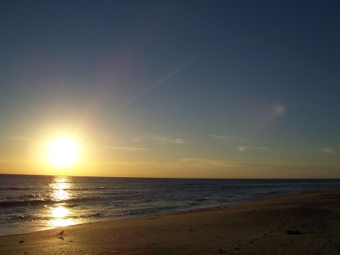 1994 Ford Probe - Sunset over the ocean viewed from a sandy beach, with a bird visible on the shore.