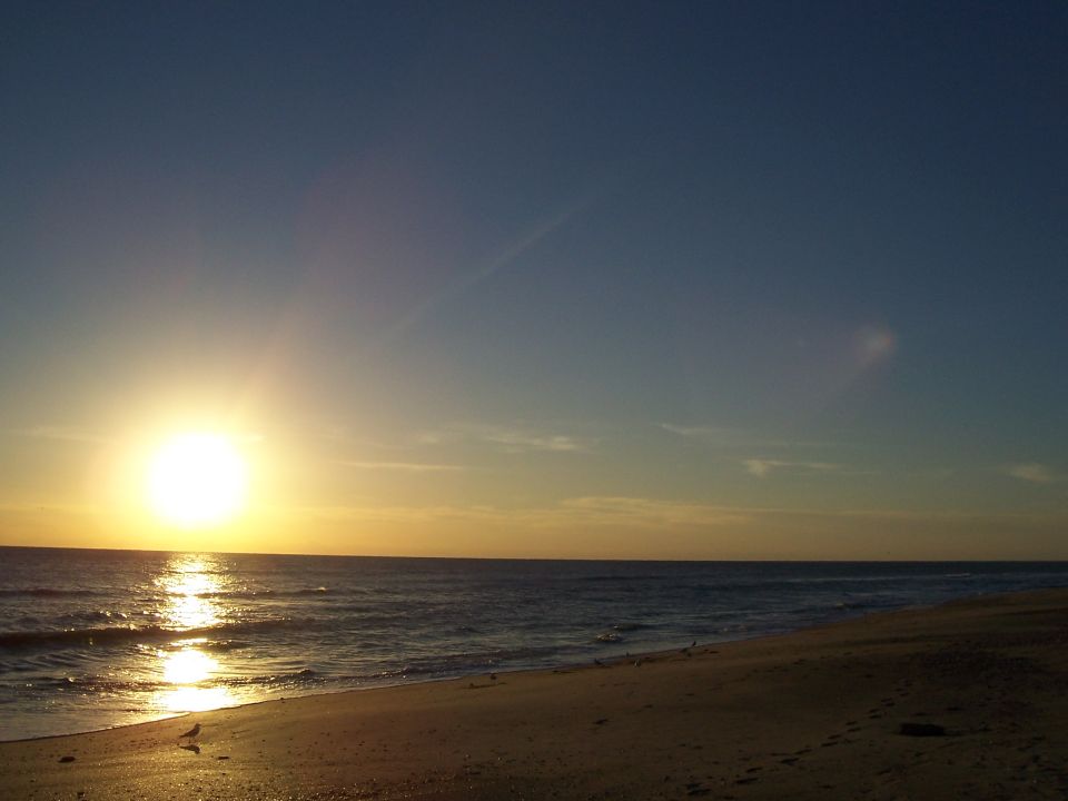 Sunset over the ocean with a sandy beach in the foreground and a bird on the sand