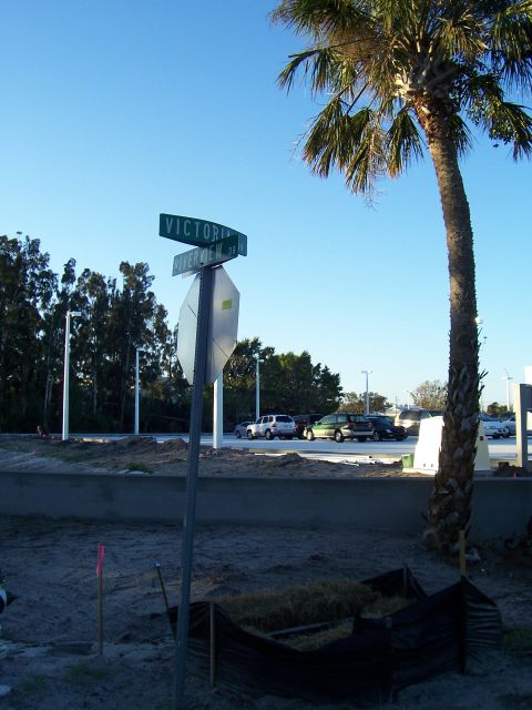 1994 Ford Probe - A street corner scene with traffic signs, parked vehicles, and a palm tree under a clear blue sky.