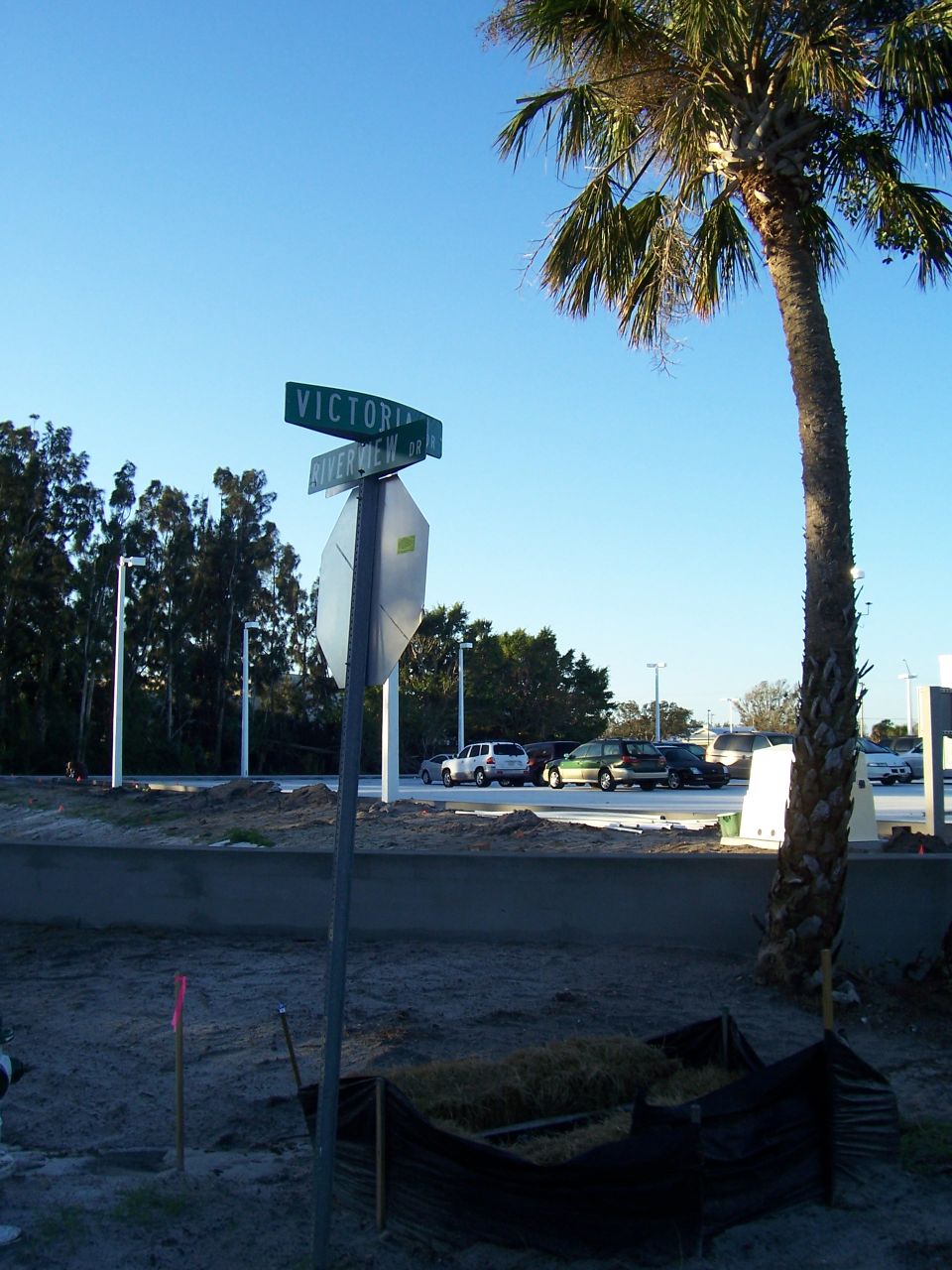 Street signs for Victoria and Riverview Dr. with parked cars and a palm tree