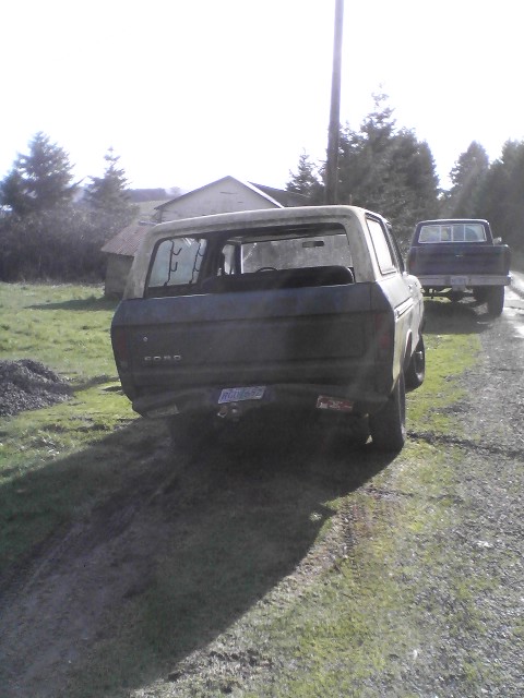1978 Ford Bronco photo