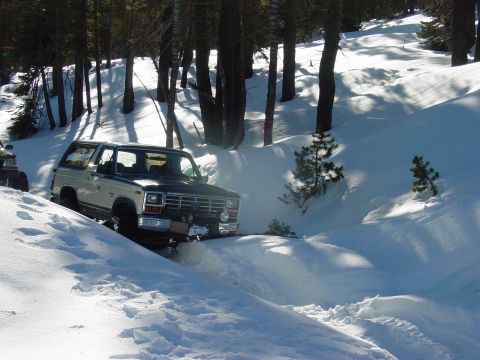 1986 Ford Bronco - A two-tone Ford Bronco navigates a snowy forest path, with another vehicle partially visible in the background.