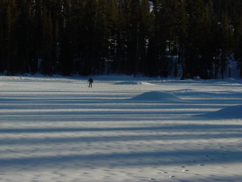 1986 Ford Bronco - Winter scene with a lone skier on a frozen lake, surrounded by snow and trees.