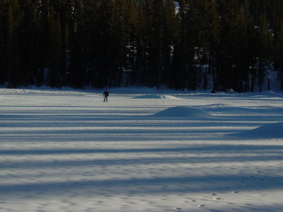 Person cross-country skiing on a snow-covered frozen lake with pine trees in the background
