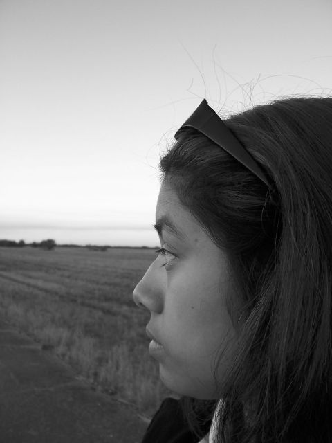 1994 Ford Probe - Woman gazes across a rural landscape during golden hour, with a website watermark visible.
