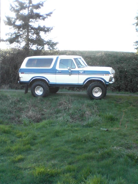 1978 Ford Bronco - A two-tone 1978 Ford Bronco is viewed from its side, parked on a grassy incline with trees and a hedge in the background.