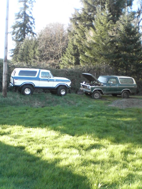 1978 Ford Bronco photo